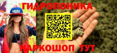 мяу мяу мука Ирбит